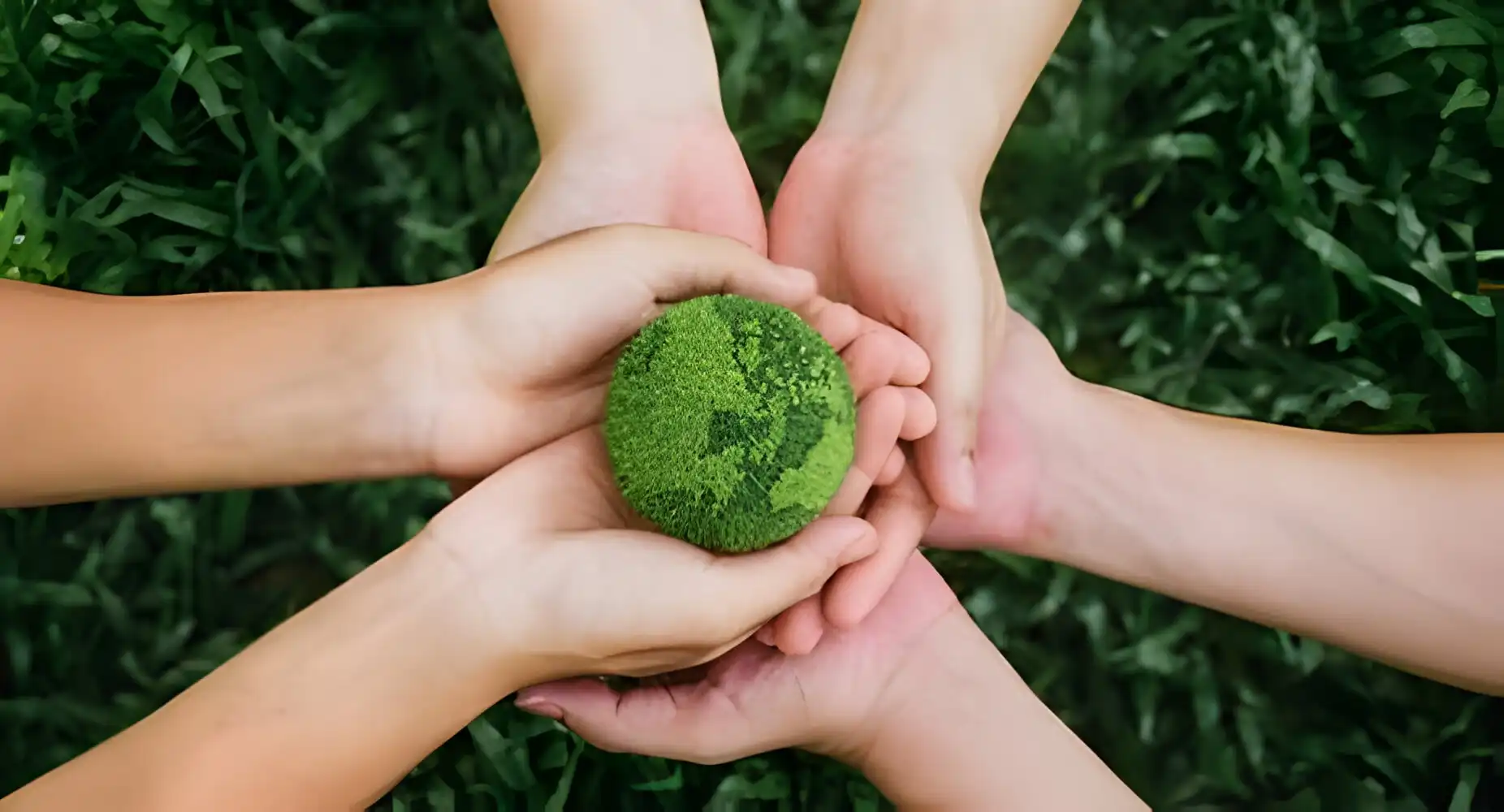 Environmental Responsibility - Sustainable Foam Packaging Solutions